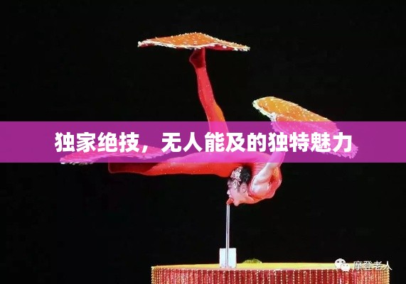 技术支持 第38页