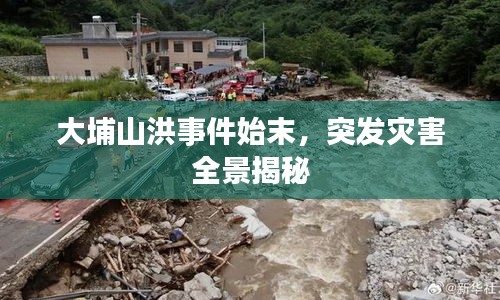 大埔山洪事件始末，突发灾害全景揭秘