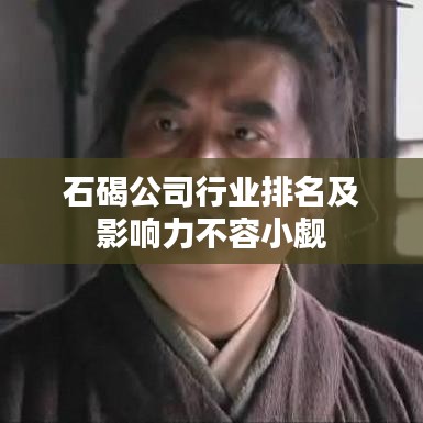 石碣公司行业排名及影响力不容小觑