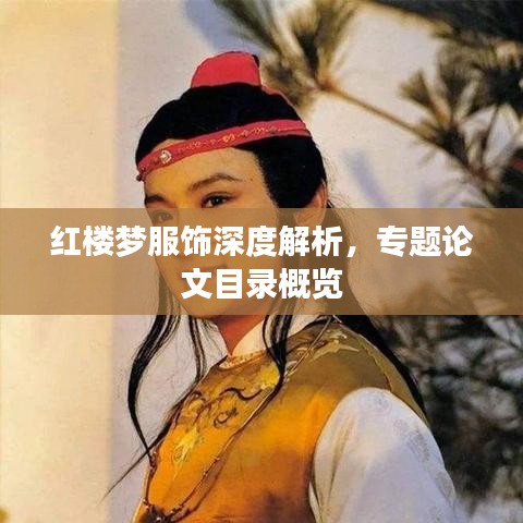 红楼梦服饰深度解析，专题论文目录概览