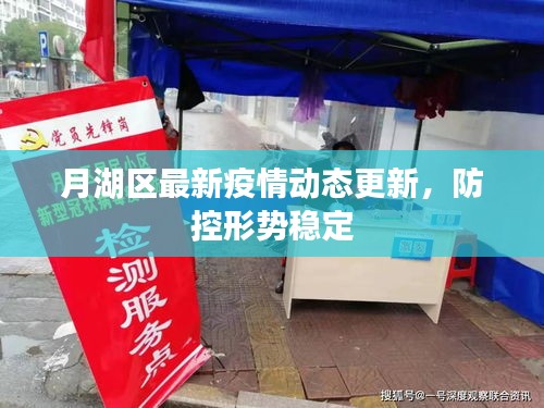 月湖区最新疫情动态更新，防控形势稳定