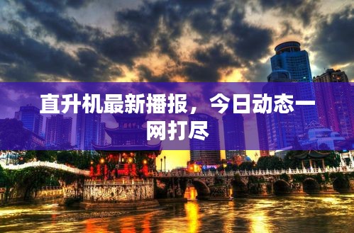 直升机最新播报，今日动态一网打尽