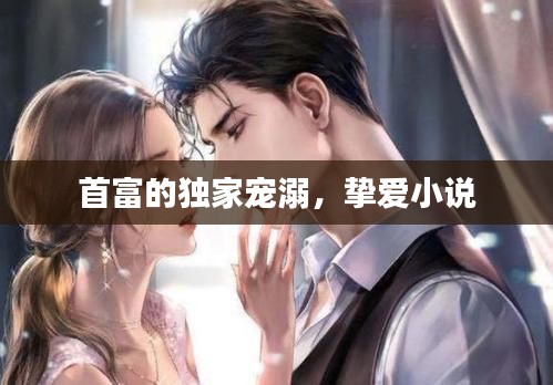 首富的独家宠溺，挚爱小说