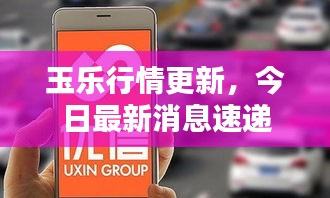 玉乐行情更新，今日最新消息速递