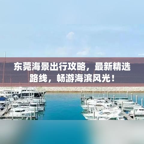 东莞海景出行攻略，最新精选路线，畅游海滨风光！
