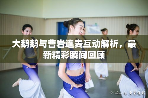大鹅鹅与曹岩连麦互动解析，最新精彩瞬间回顾