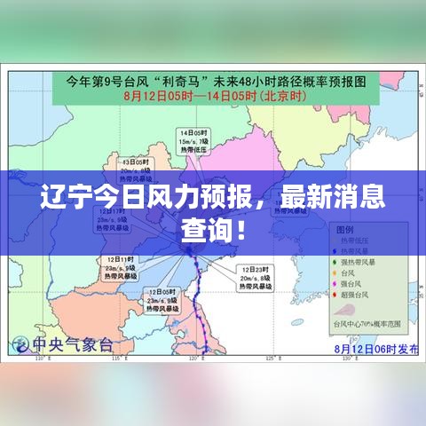 辽宁今日风力预报，最新消息查询！