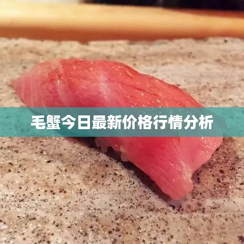 毛蟹今日最新价格行情分析