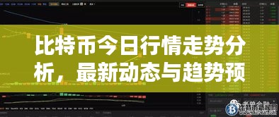 比特币今日行情走势分析，最新动态与趋势预测