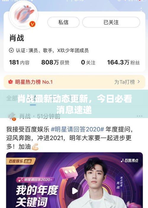 肖战最新动态更新，今日必看消息速递