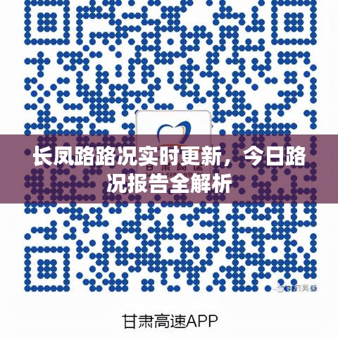 长凤路路况实时更新，今日路况报告全解析