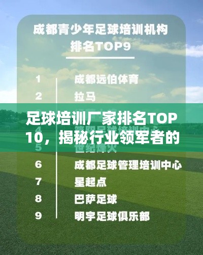 足球培训厂家排名TOP10，揭秘行业领军者的秘密！