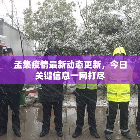 孟集疫情最新动态更新，今日关键信息一网打尽