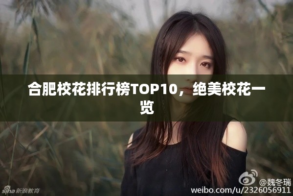 合肥校花排行榜TOP10，绝美校花一览