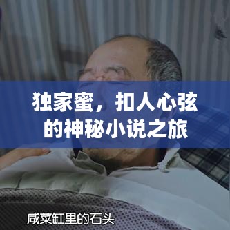 独家蜜，扣人心弦的神秘小说之旅