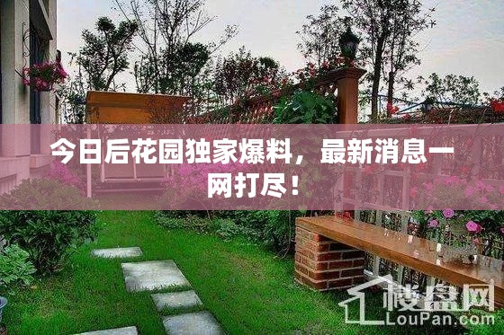 今日后花园独家爆料，最新消息一网打尽！