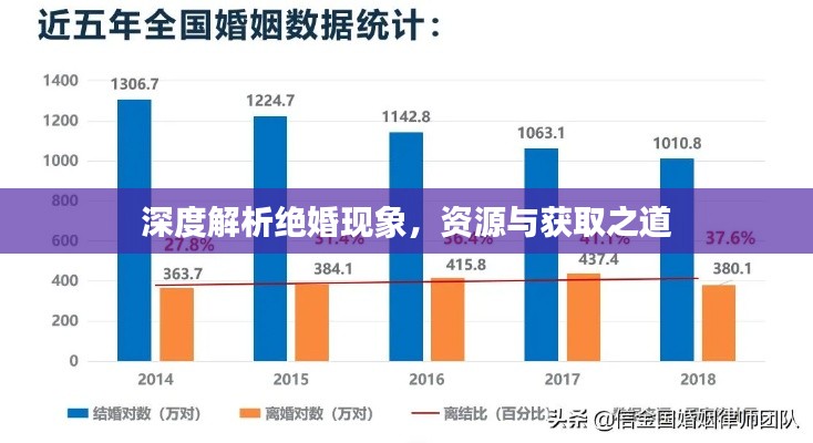 深度解析绝婚现象，资源与获取之道