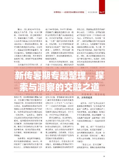 新传暑期专题整理，探索与洞察的交融之道