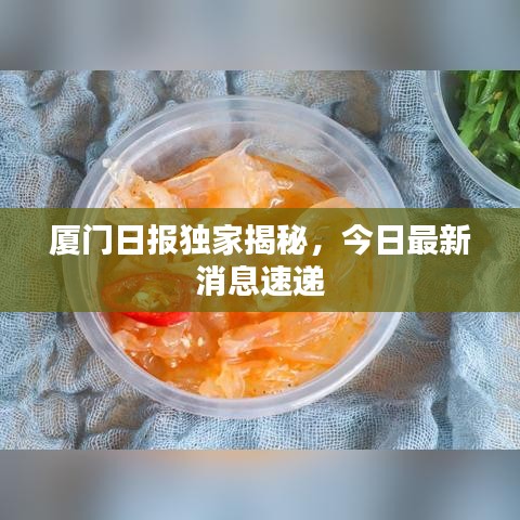 厦门日报独家揭秘，今日最新消息速递