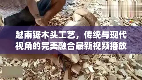 越南锯木头工艺，传统与现代视角的完美融合最新视频播放