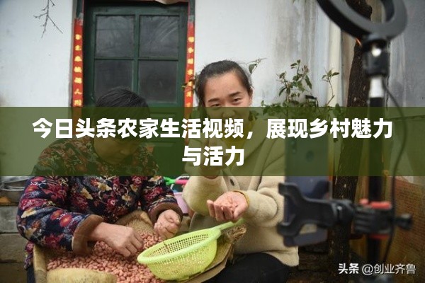今日头条农家生活视频，展现乡村魅力与活力