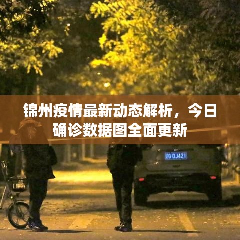 锦州疫情最新动态解析，今日确诊数据图全面更新