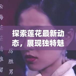 探索莲花最新动态，展现独特魅力——莲花新闻头条今日关注