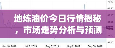 地炼油价今日行情揭秘，市场走势分析与预测