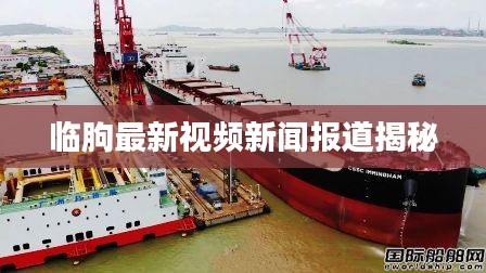 临朐最新视频新闻报道揭秘