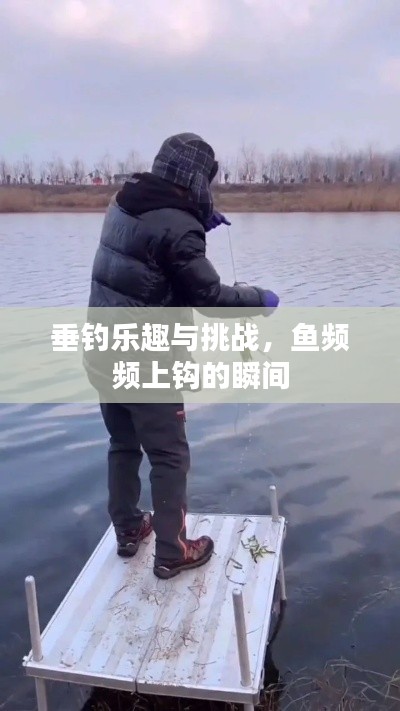 垂钓乐趣与挑战，鱼频频上钩的瞬间