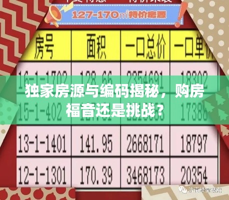 独家房源与编码揭秘，购房福音还是挑战？