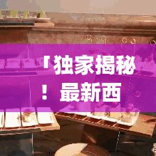 「独家揭秘！最新西湖酒店攻略与详细路线图曝光」