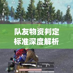 队友物资判定标准深度解析，最新探讨与解读