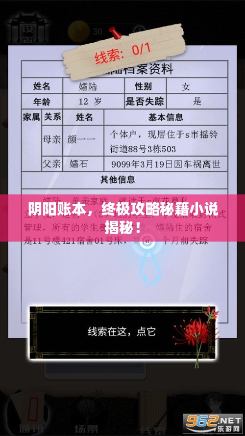 阴阳账本，终极攻略秘籍小说揭秘！
