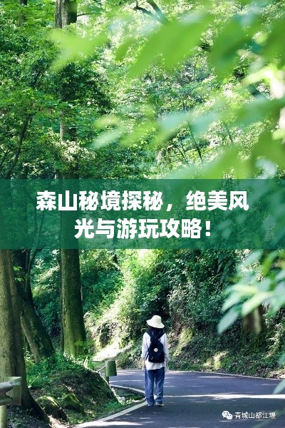 森山秘境探秘，绝美风光与游玩攻略！