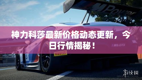 神力科莎最新价格动态更新，今日行情揭秘！
