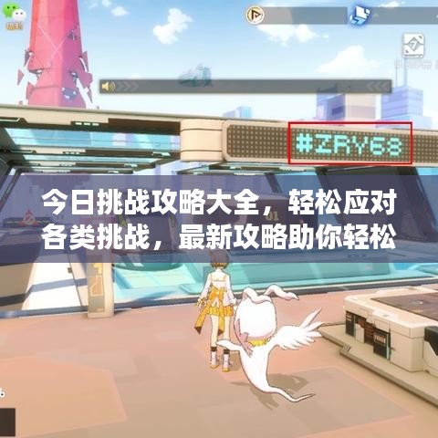 今日挑战攻略大全，轻松应对各类挑战，最新攻略助你轻松通关！