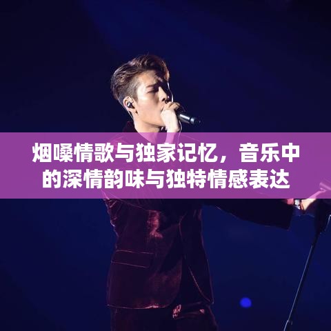烟嗓情歌与独家记忆，音乐中的深情韵味与独特情感表达