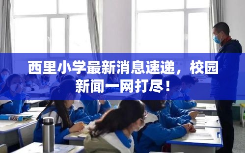 西里小学最新消息速递，校园新闻一网打尽！