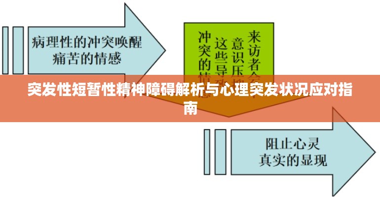 突发性短暂性精神障碍解析与心理突发状况应对指南