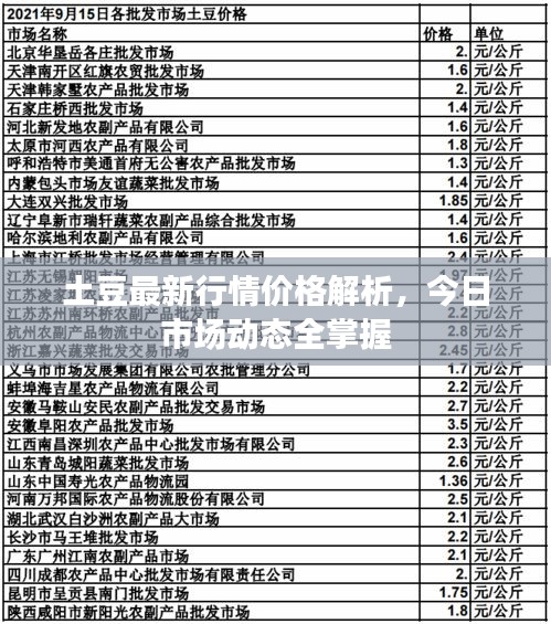 土豆最新行情价格解析，今日市场动态全掌握