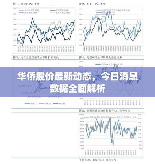 华侨股价最新动态，今日消息数据全面解析