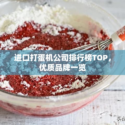 进口打蛋机公司排行榜TOP，优质品牌一览