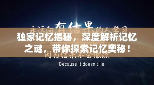 独家记忆揭秘，深度解析记忆之谜，带你探索记忆奥秘！