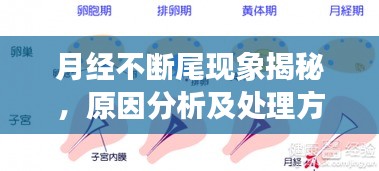 月经不断尾现象揭秘，原因分析及处理方法