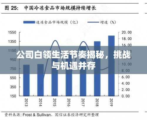 公司白领生活节奏揭秘，挑战与机遇并存