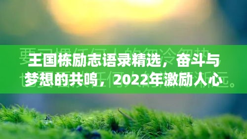 王国栋励志语录精选，奋斗与梦想的共鸣，2022年激励人心的话语
