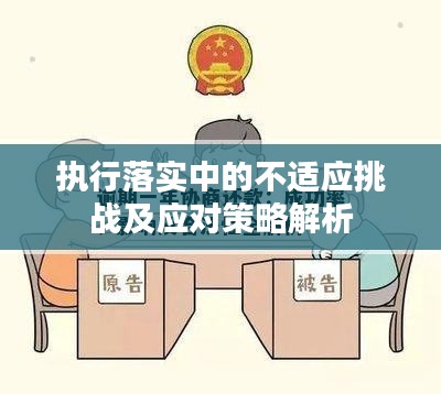 执行落实中的不适应挑战及应对策略解析