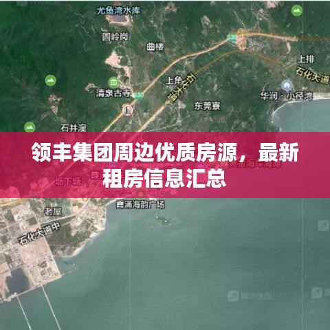 领丰集团周边优质房源，最新租房信息汇总