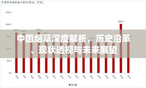 中国烟草深度解析，历史沿革、现状透视与未来展望